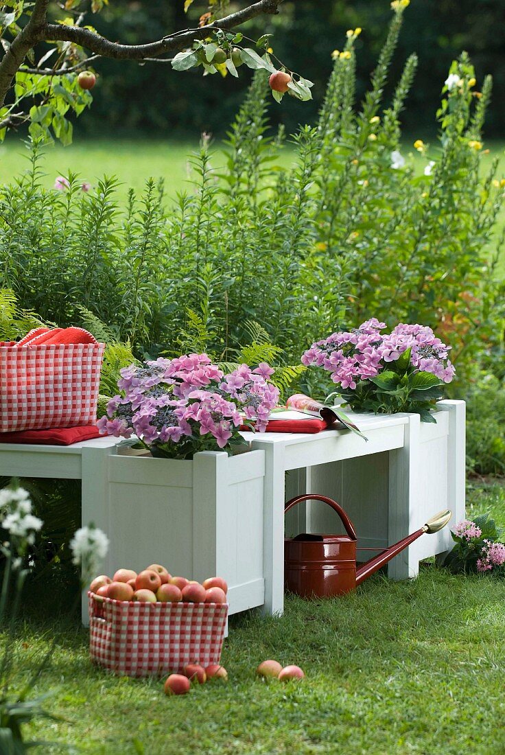 Red and white gingham basket of apples in front of white-painted wooden bench with integrated planters in summer garden