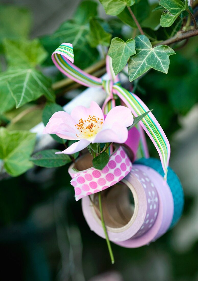 Rolls of washi tape and rose hanging on twig as decoration
