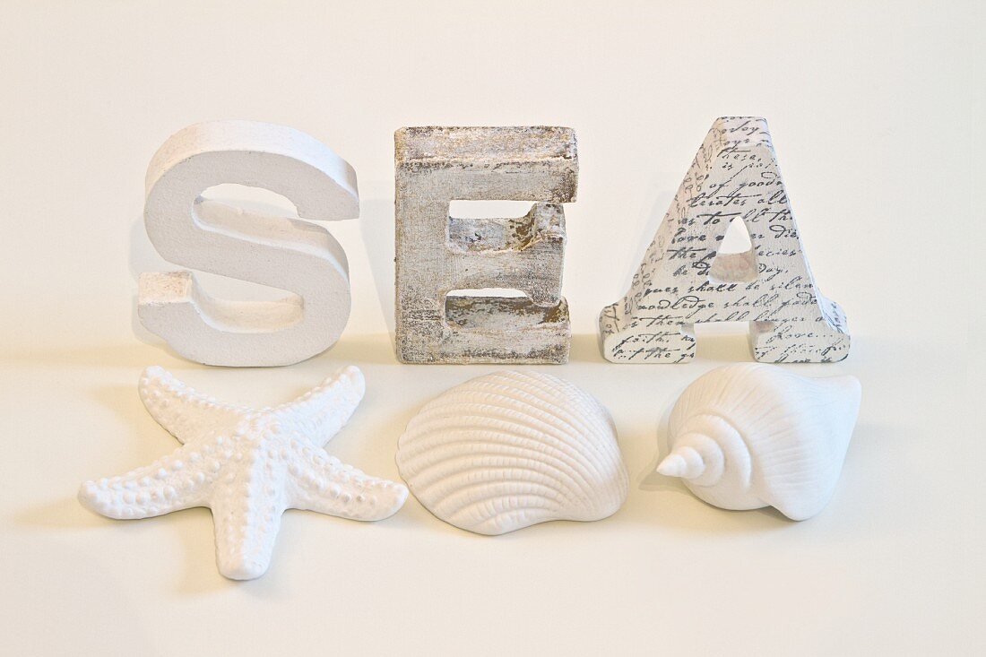 Weiß lackierte Holzbuchstaben und Meeresmuscheln