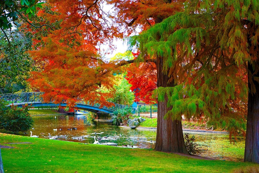 Herbststimmung im Park mit Fluss
