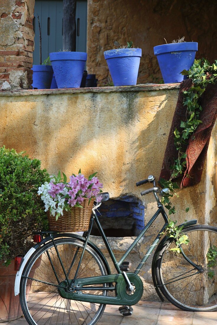 Flowers in basket of bicycle leaning against peeling wall