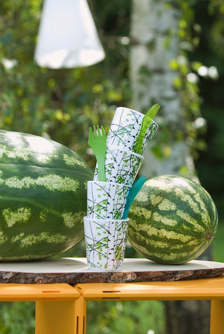Wassermelonen, Becher und Besteck aus Plastik auf einem Gartentisch