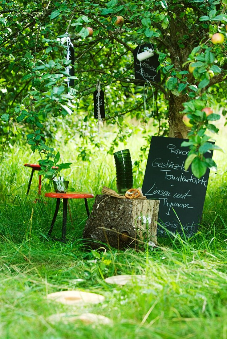 Garden party menu board below tree