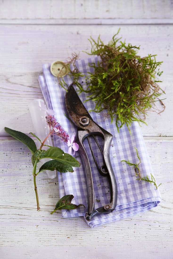 Still life - secateurs, flower and a handful of moss on a plaid cloth