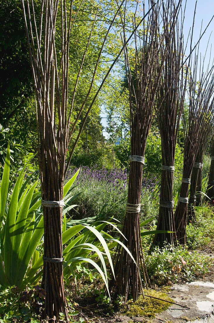 Bundles of willow twigs in Mediterranean garden