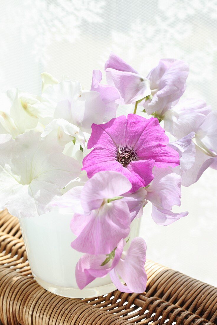 White and pink sweet peas in water glass