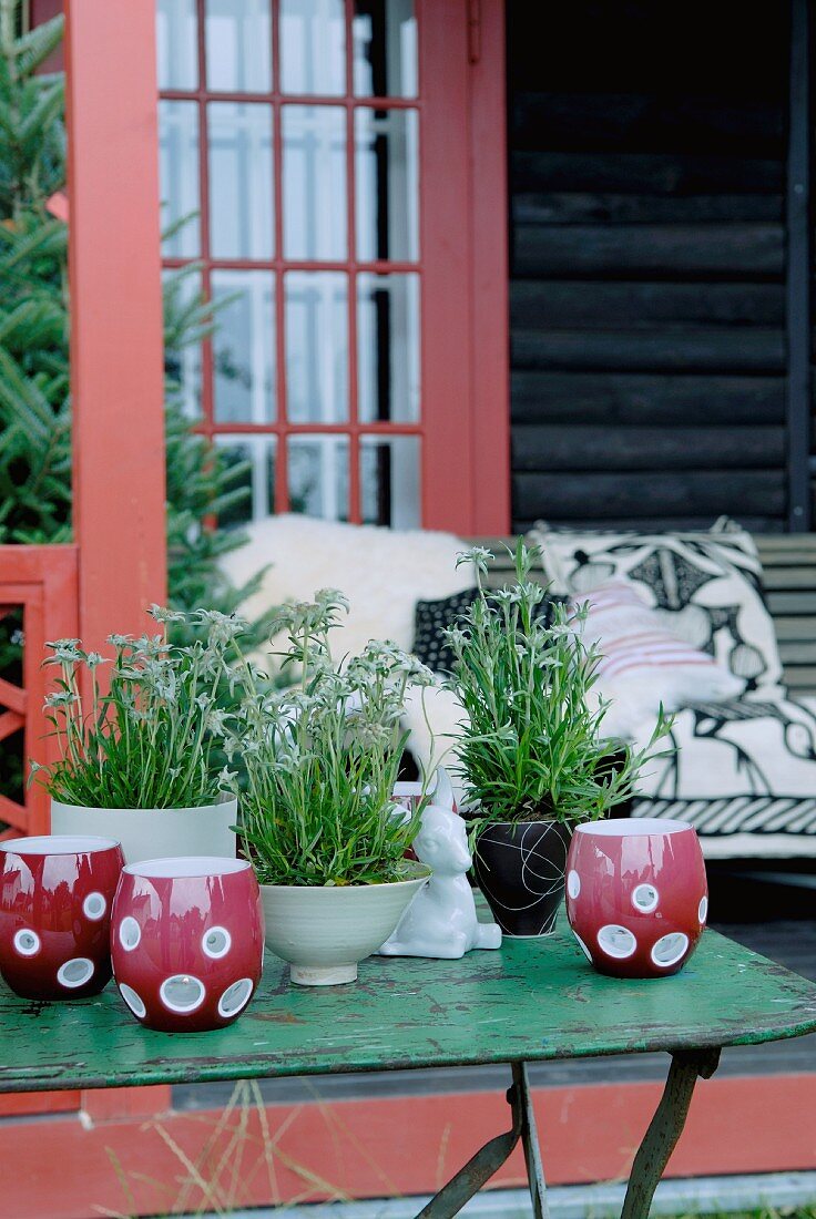 Red ceramic tealight holders and edelweiss in planters on garden table