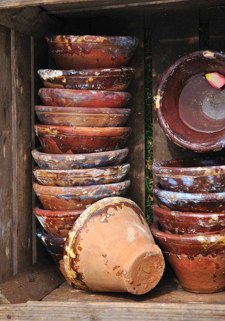 Plant pots stacked on wooden shelving