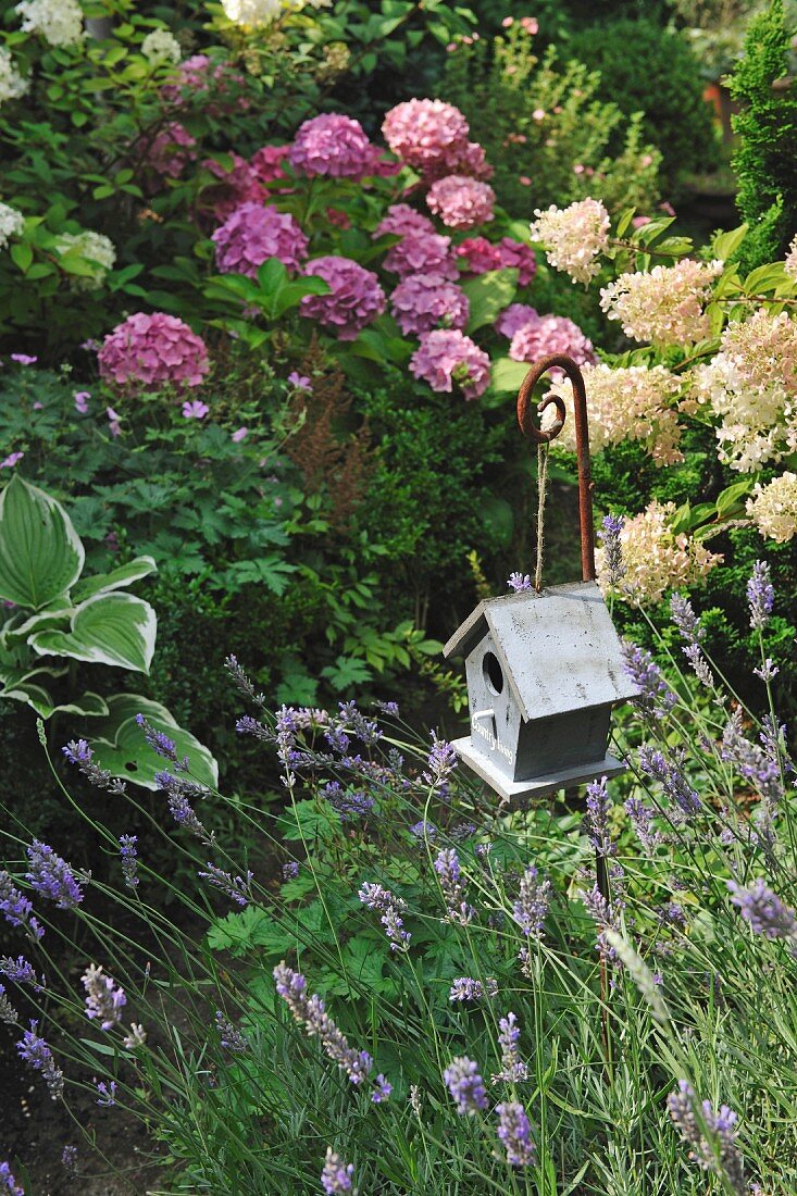 Wooden bird box hung from crook in flowering garden