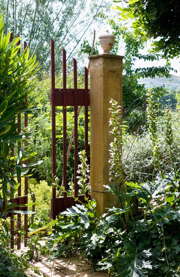 Simple iron gate leading from garden