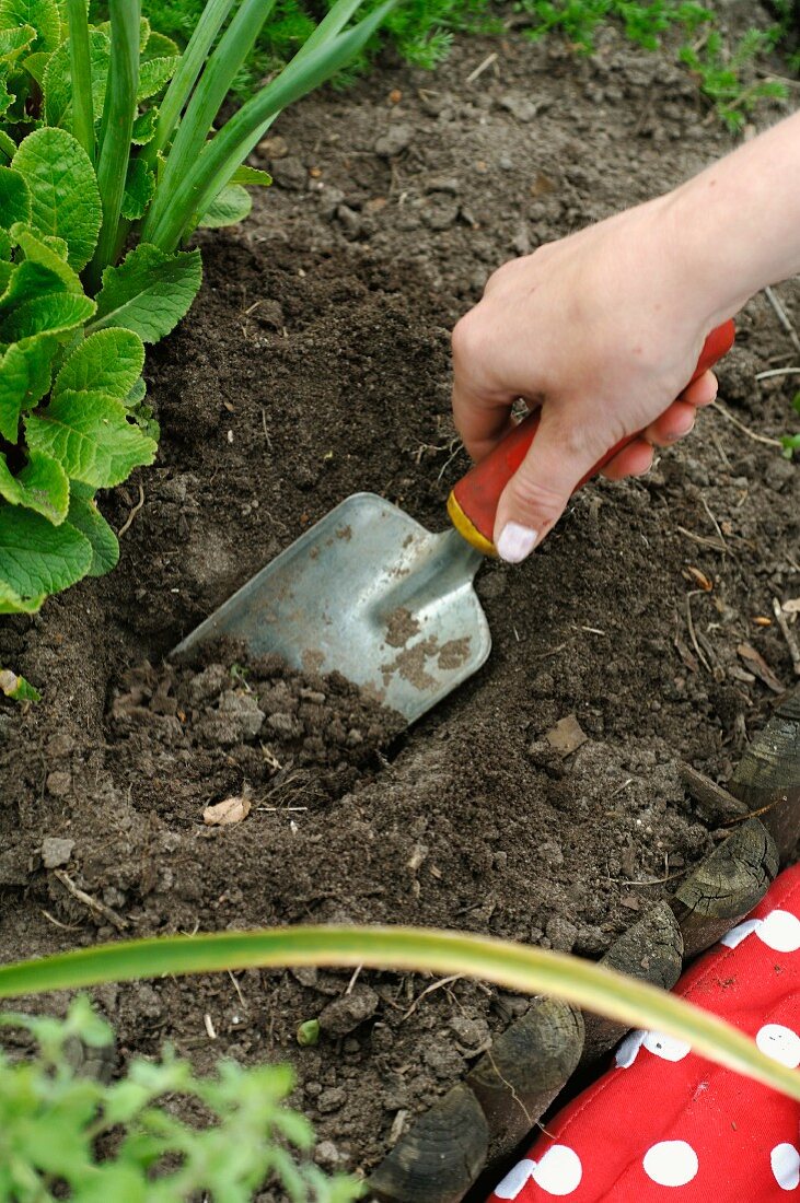 Gardening - digging a hole