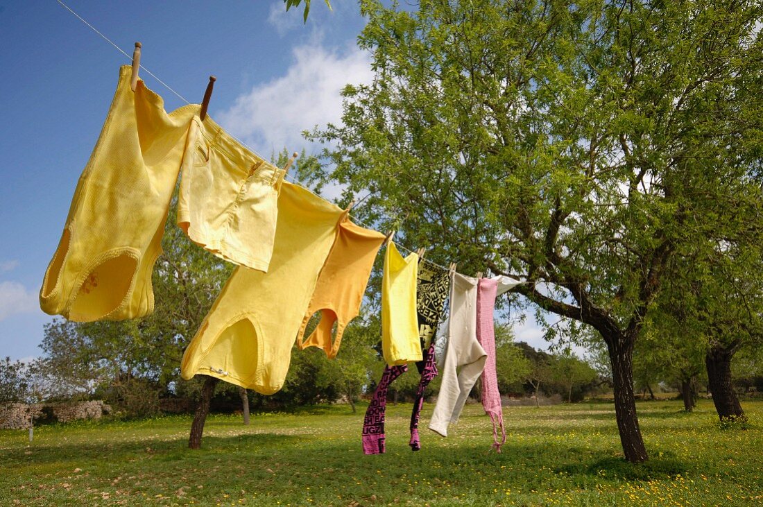 Wäsche hängt auf einer Wäscheleine im Garten