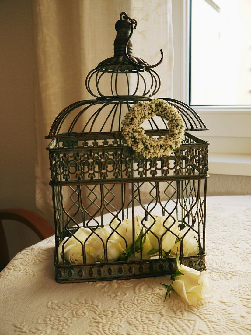 Roses in vintage metal cage on table