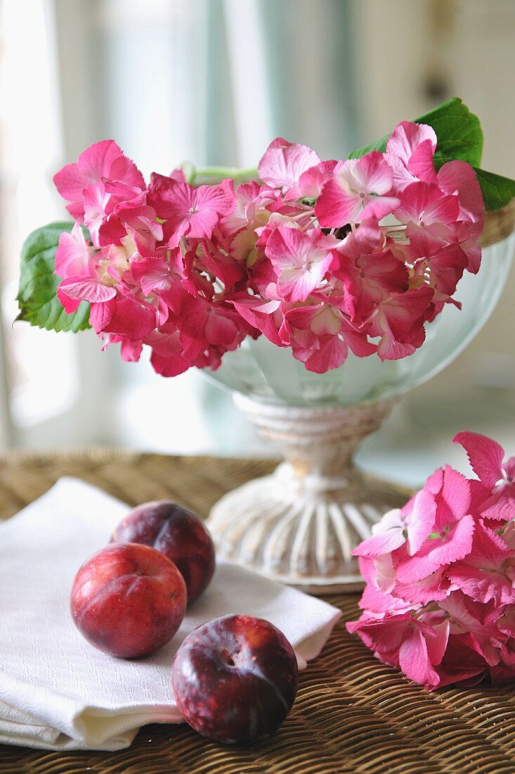 Pinkfarbene Blumen und Pflaumen
