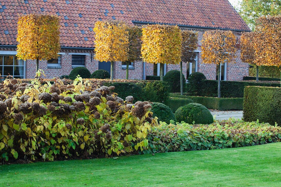 Garden with topiary trees and hedges in front of house with brick facade