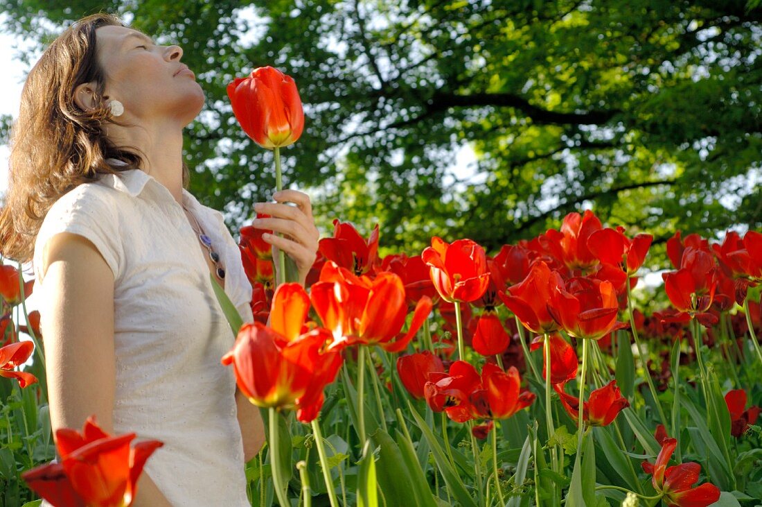 Frau riecht an roter Tulpe