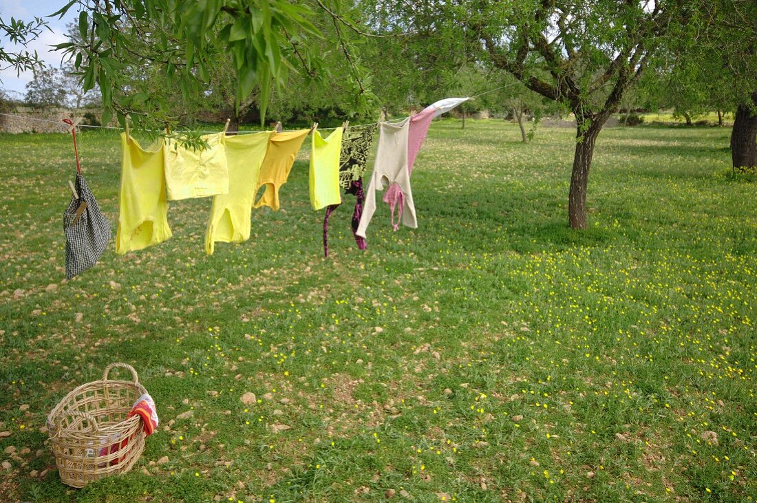 Clothes hanging on clothesline in garden