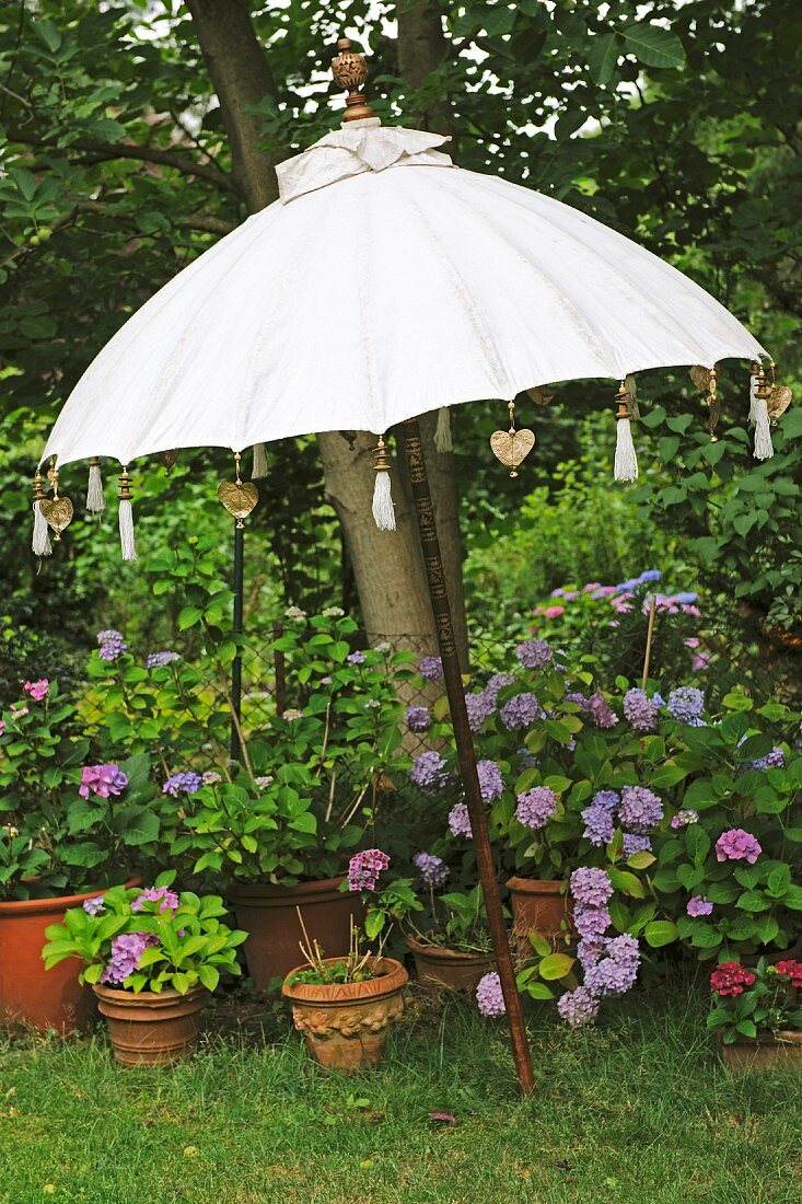 Sonnenschirm und Blumentöpfe im Garten