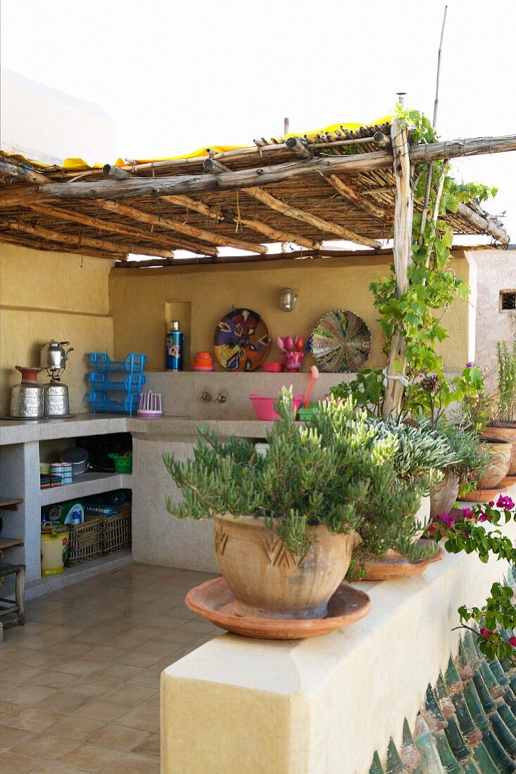 Kräutertöpfe auf Brüstung einer mediterranen Dachterrasse und eingebaute Küchenzeile an Wand