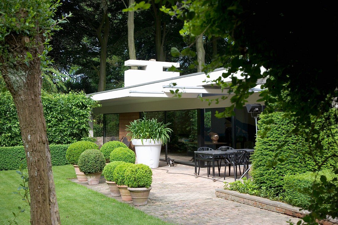 Garten mit kugelförmigen Buchsbäumen im Topf vor Terrasse eines zeitgenössischen Wohnhauses