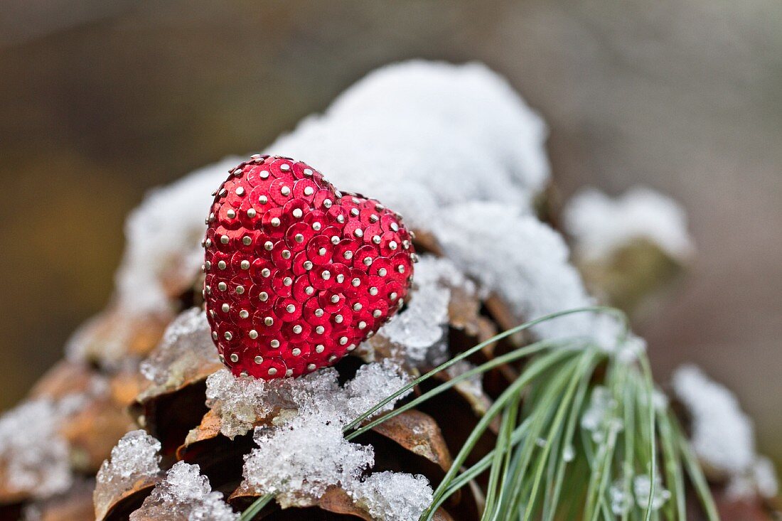 Christmas decoration on fir cone with a dusting of snow