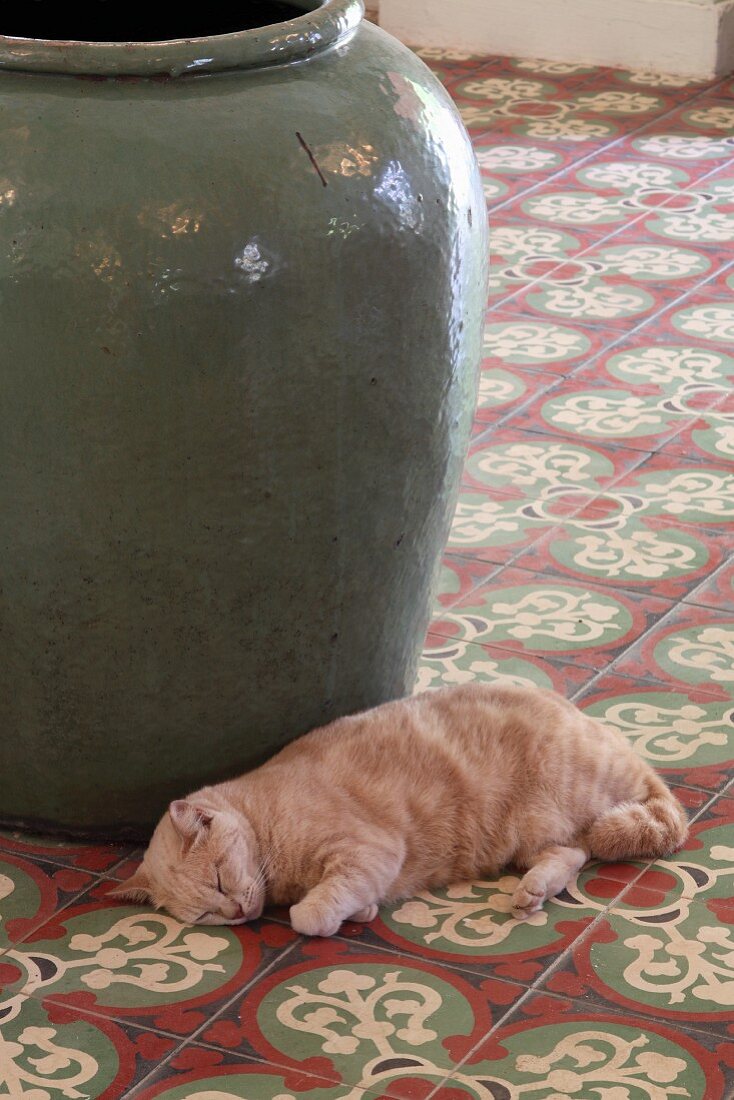 Katze liegt vor Bodenvase auf Fliesenboden mit asiatischem Ornamentmuster