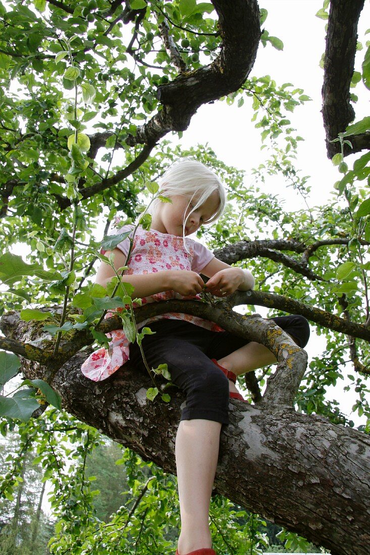 Blonde girl sitting in a tree