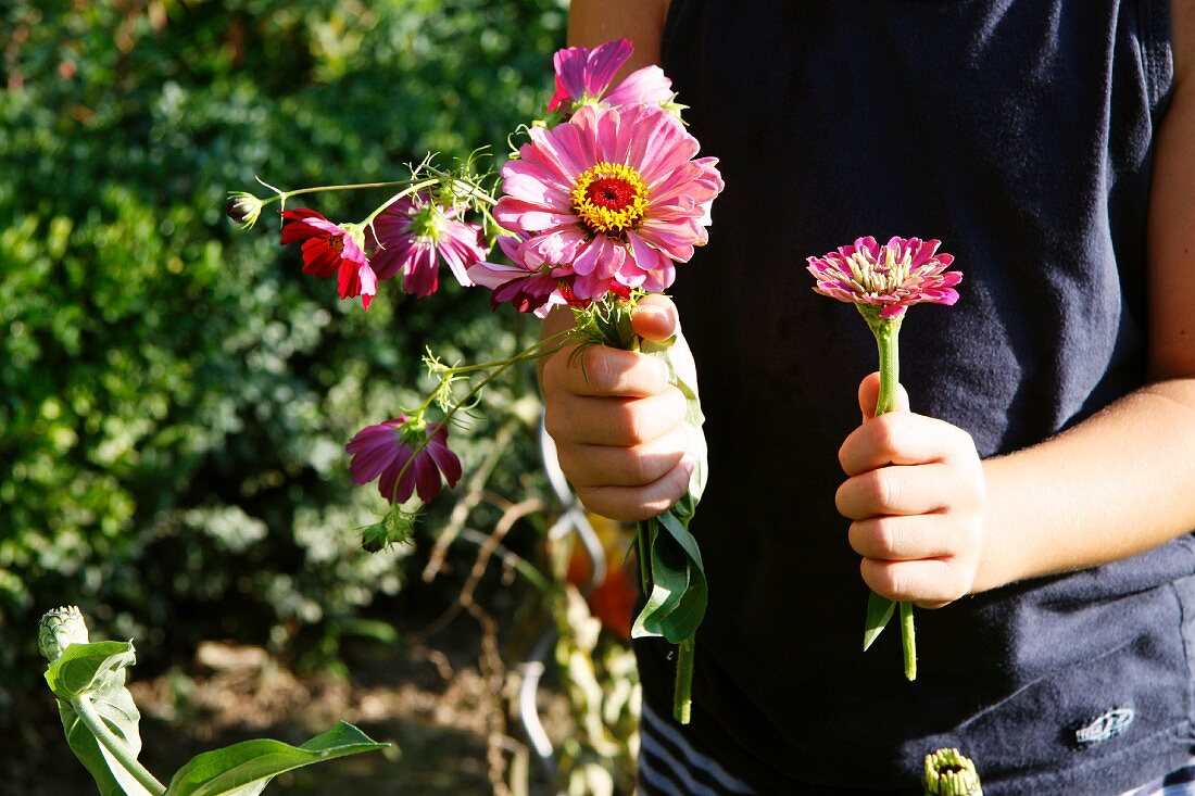Little boy holding garden flowers