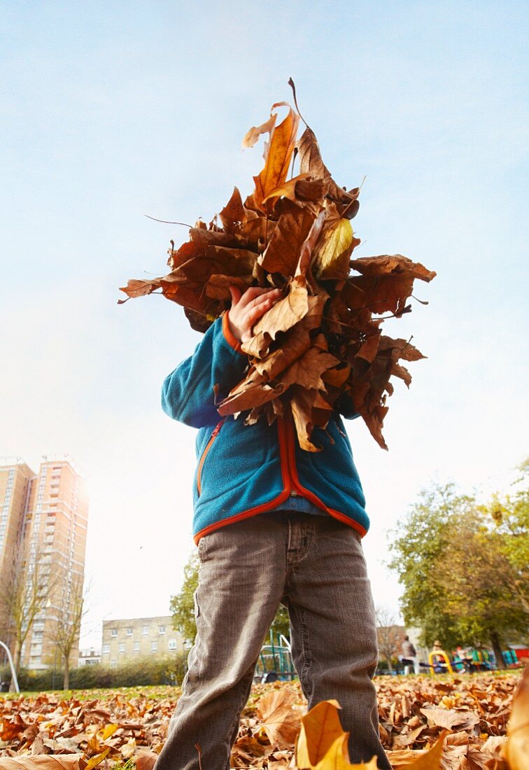 Junge spielt mit Herbstblättern
