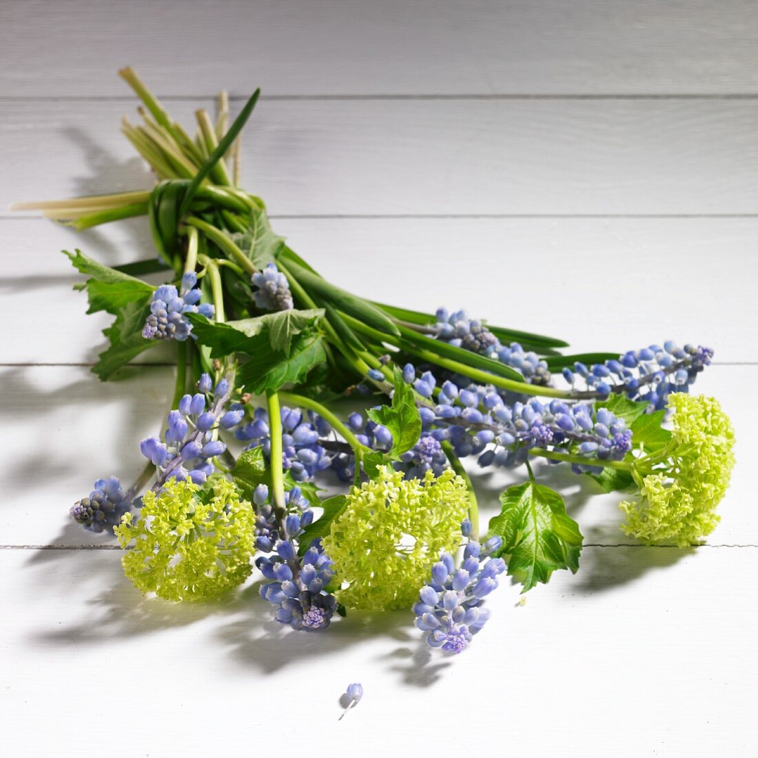 Spring bouquet of grape hyacinth and viburnum