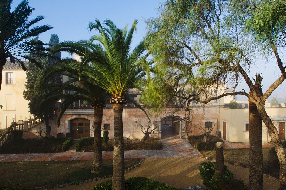 Mediterraner Garten mit Palmen vor herrschaftlicher Wohnanlage