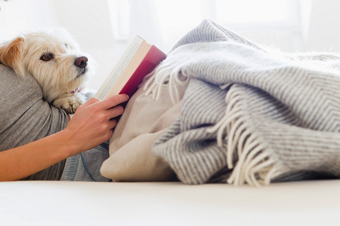 Frau mit Hund liest im Bett ein Buch