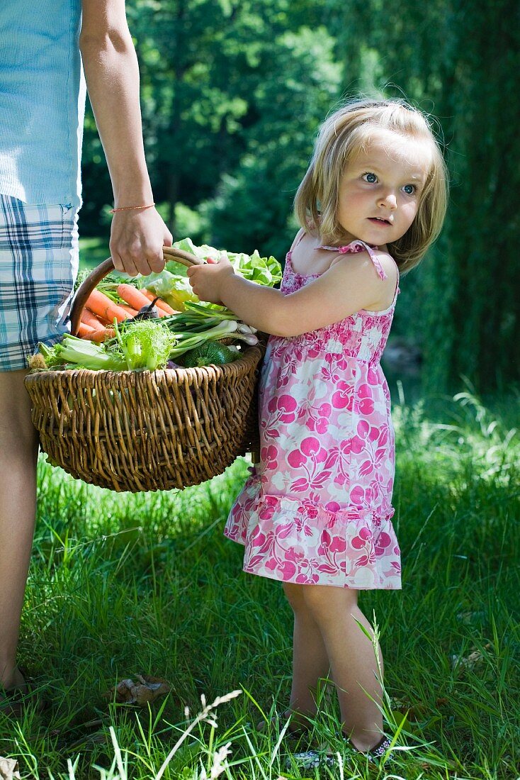 Kleines Mädchen hilft beim Tragen eines Gemüsekorbes