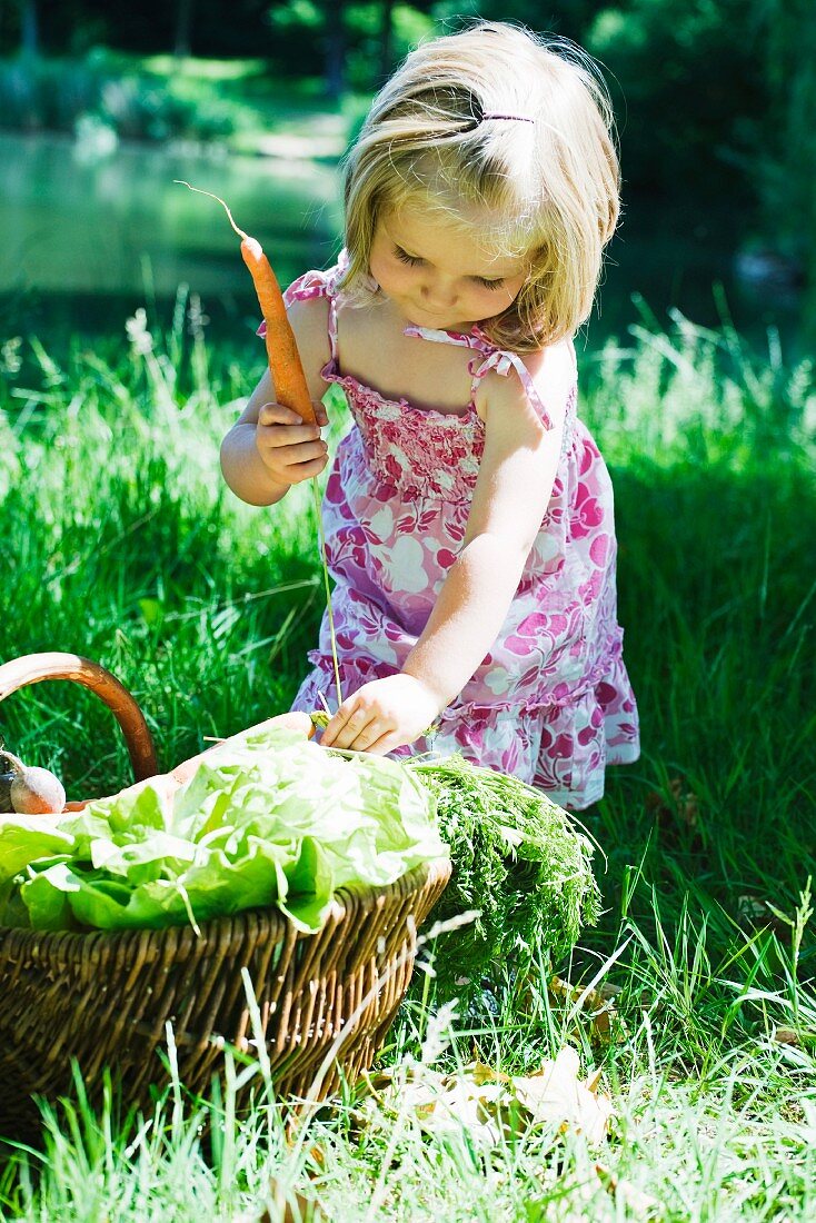 Kleines Mädchen vor Korb mit Gemüse auf der Wiese