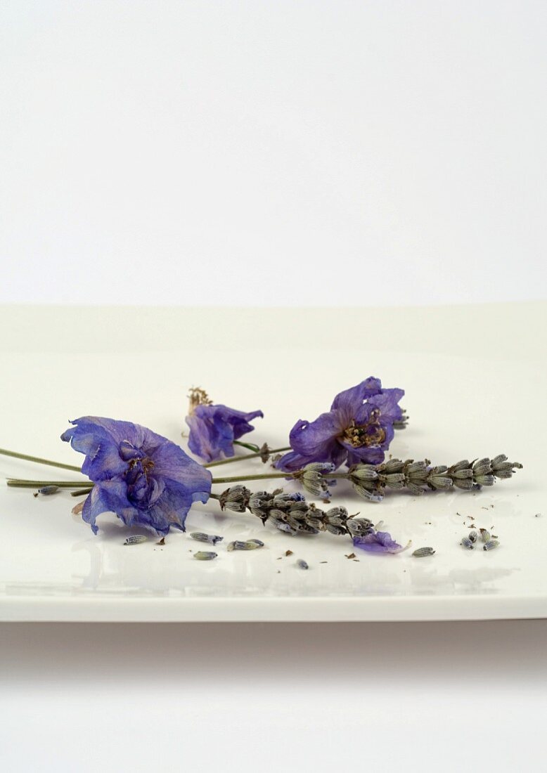 Getrocknete Lavendelblüten auf weisser Schale