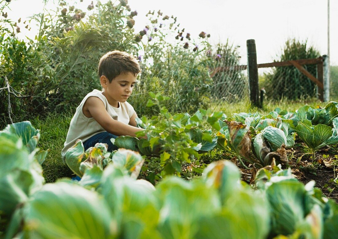 Kind sitzt vor Gemüsebeet im Garten