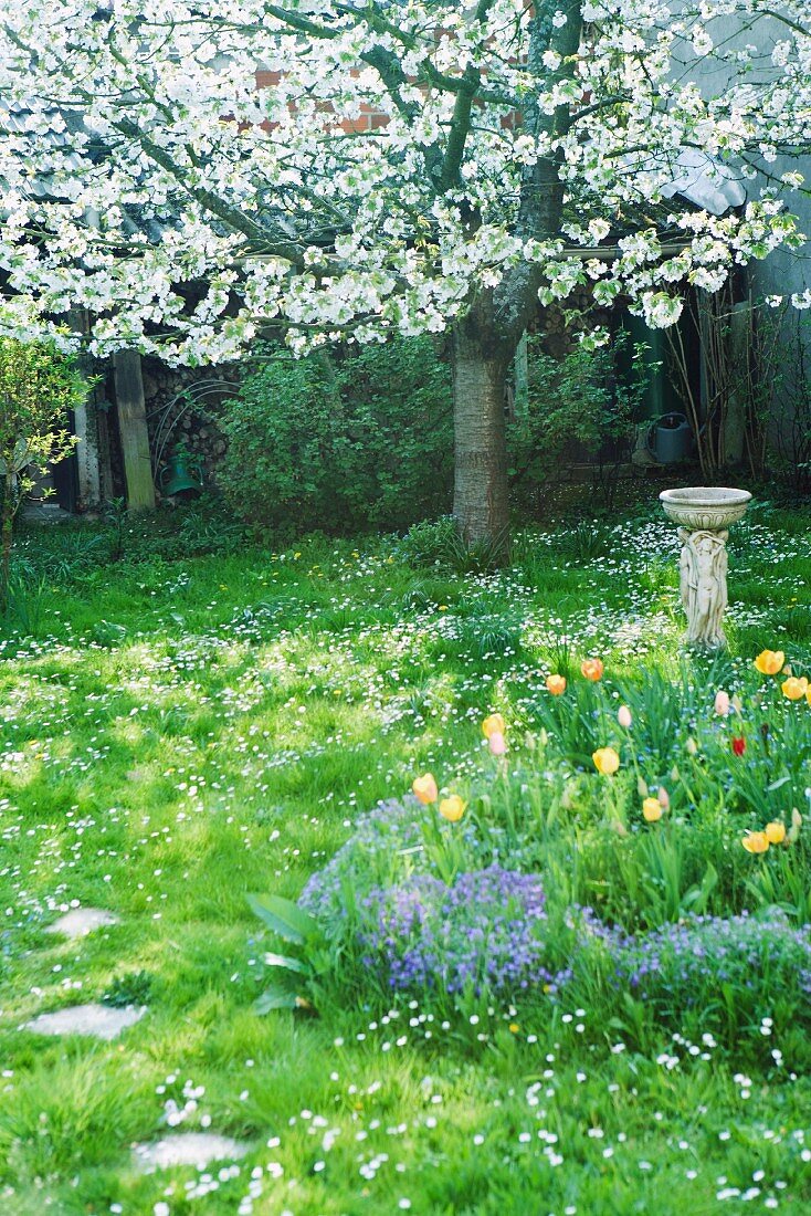 Frühlingsstimmung im blühenden Garten