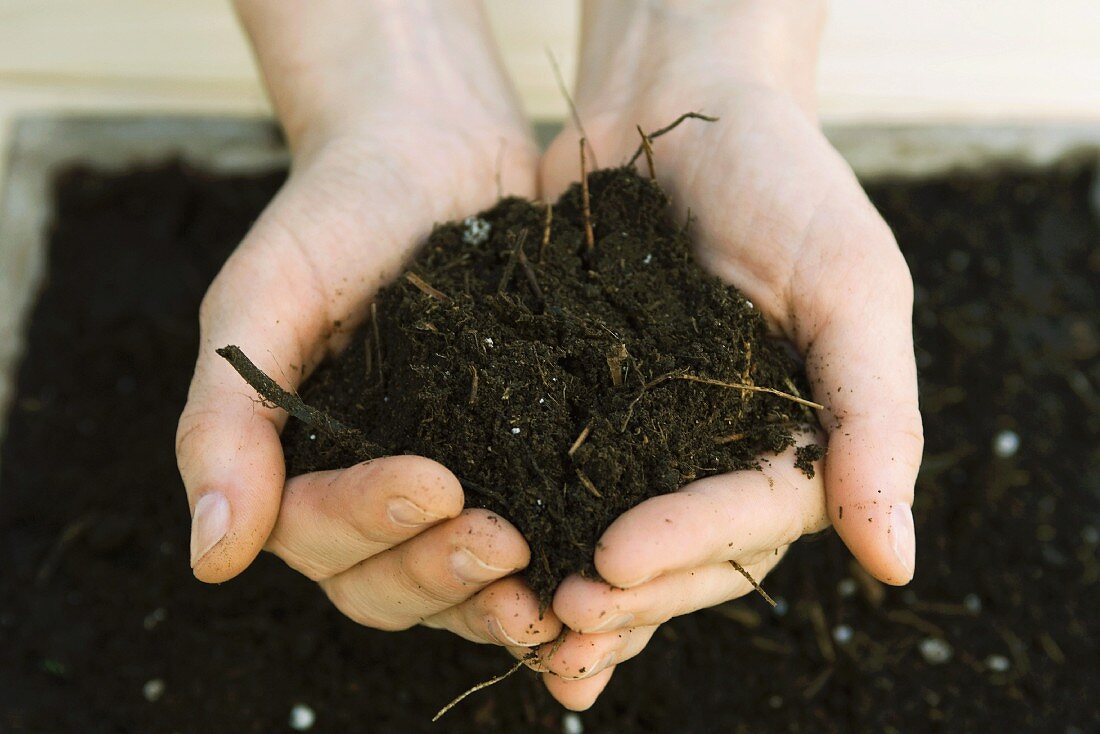 Handful of gardening soil