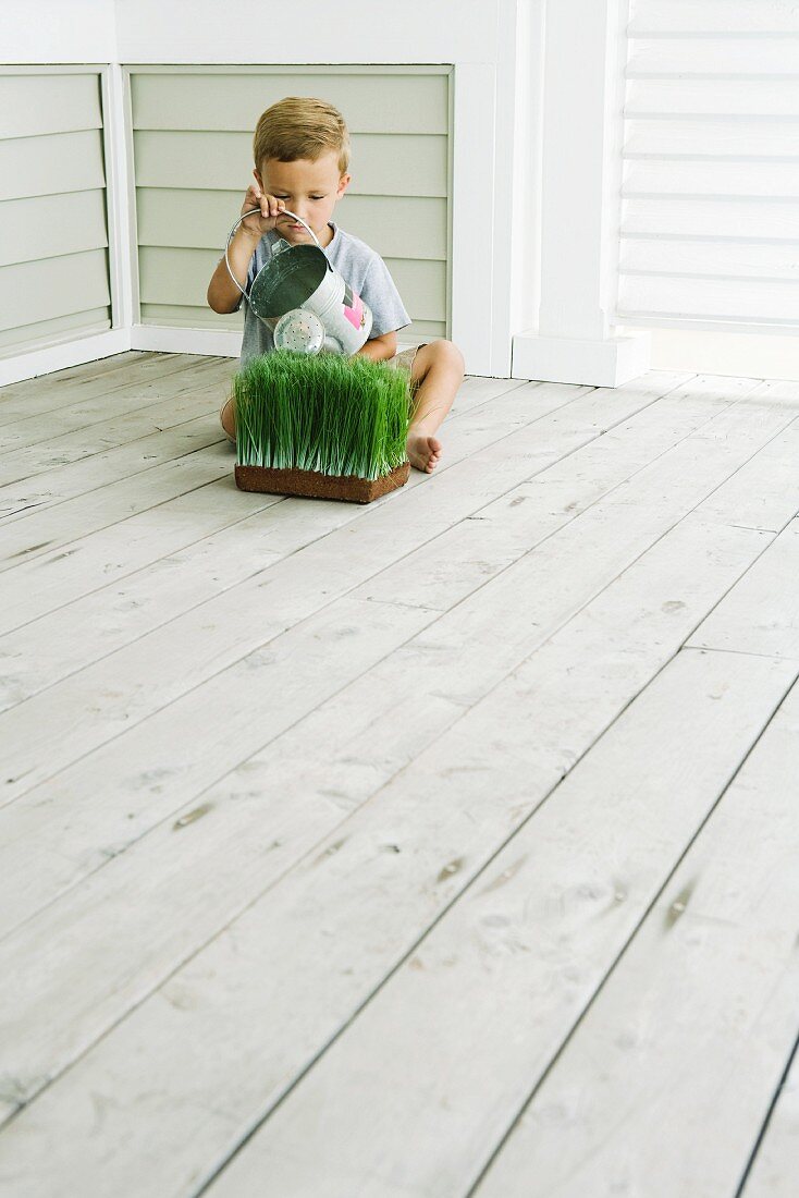 Boy sitting on the ground, watering wheat grass