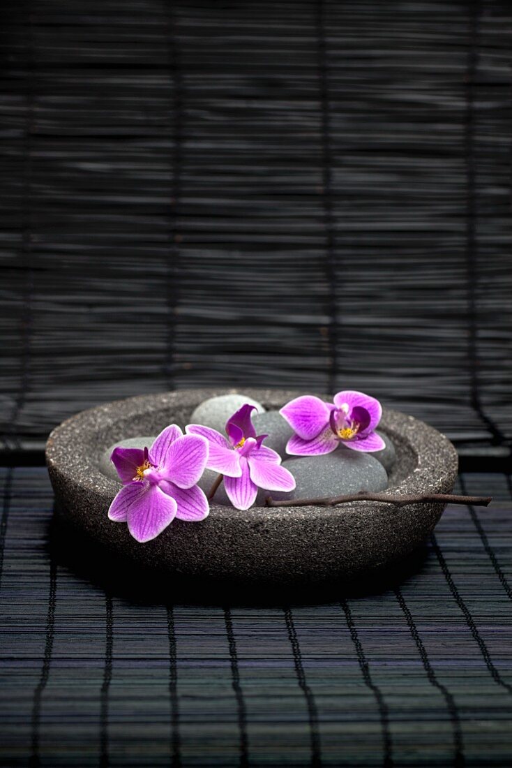 Spa-Dekoration im asiatischen Stil - Orchideenblüten auf einer Steinschale
