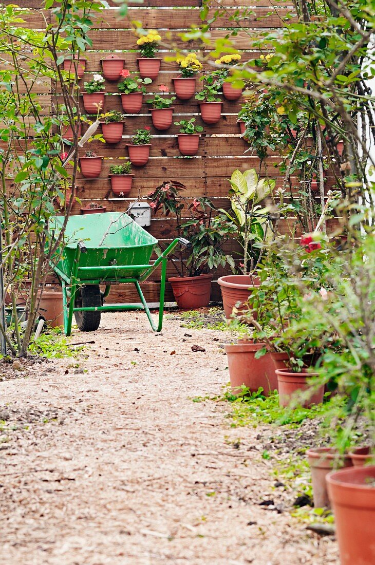 Pflanzentöpfe am Gartenweg und an der Mauer