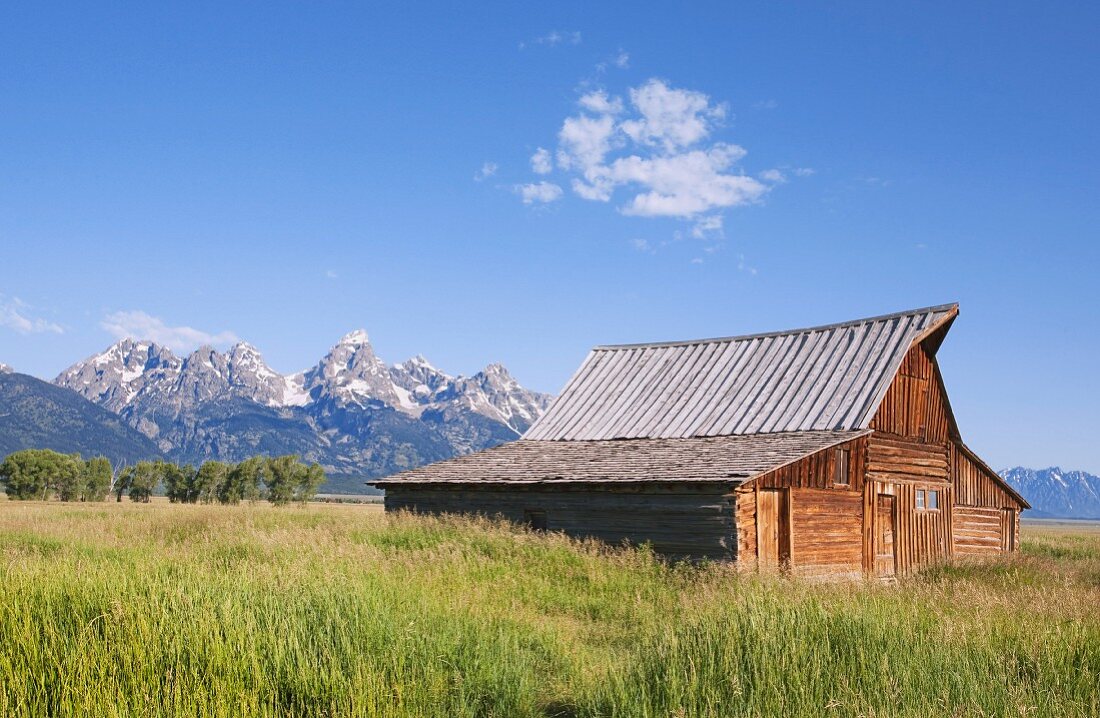 Remains of historic barn in front of the Grand Teton mountains (USA)