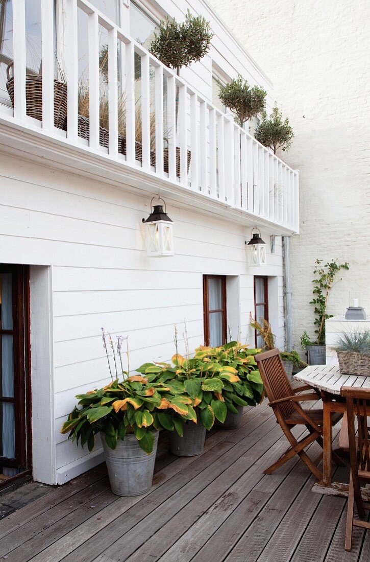 Potted hostas on wooden terrace adjoining white clapboard house with balcony balustrade