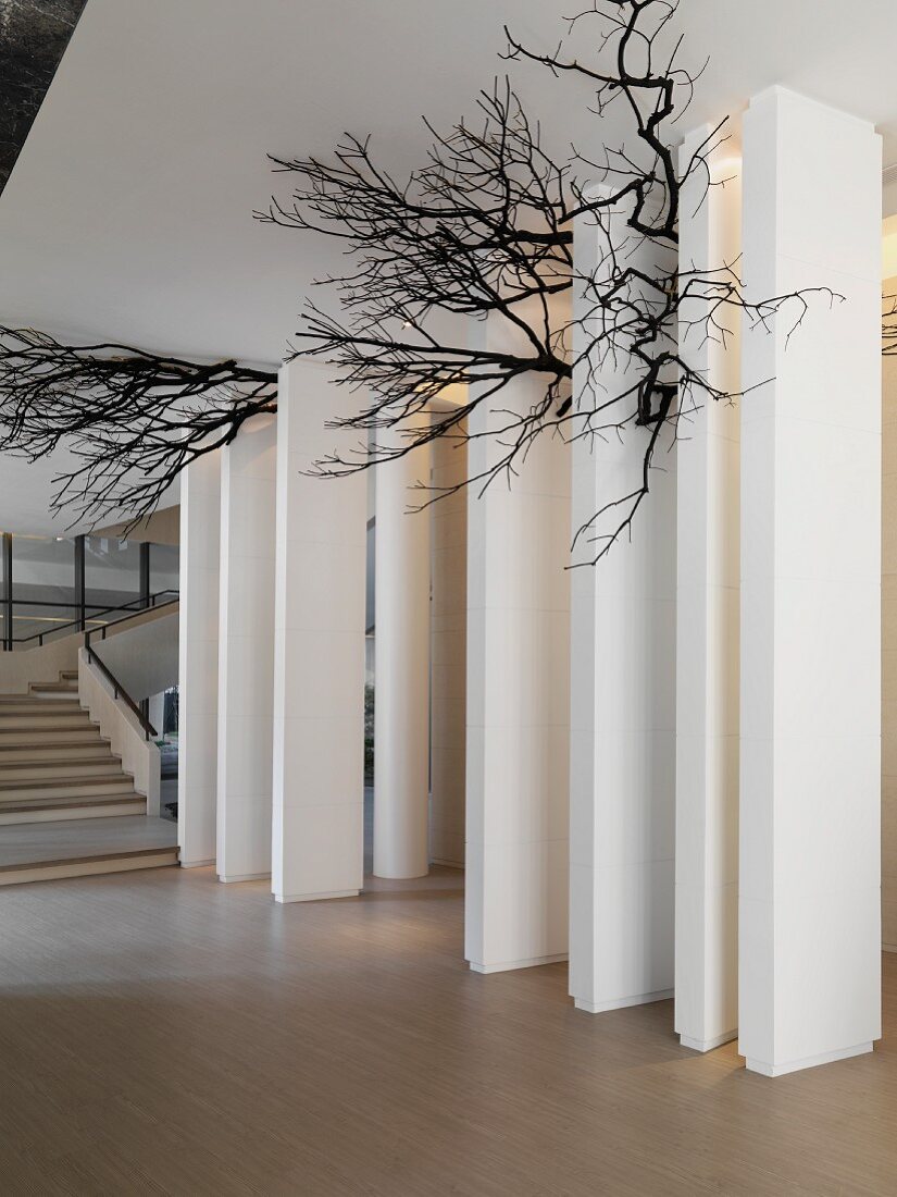 Contemporary foyer with tree branches as decoration