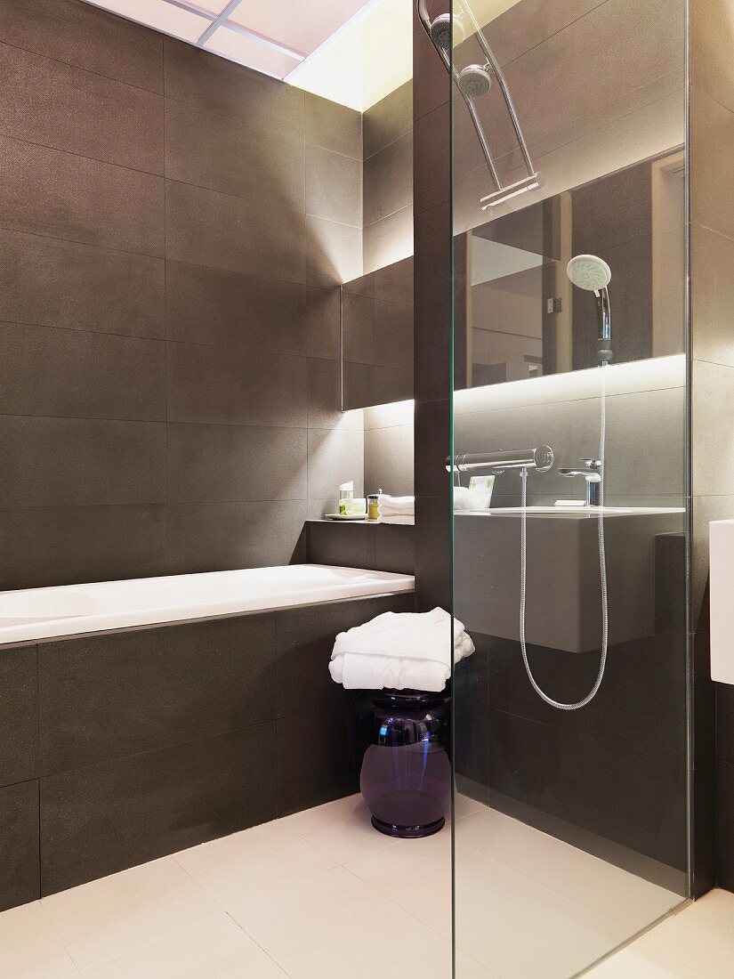 Minimalist, designer bathroom with glass partition