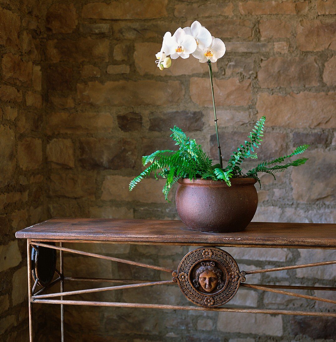 Orchid arrangement in vase on end table