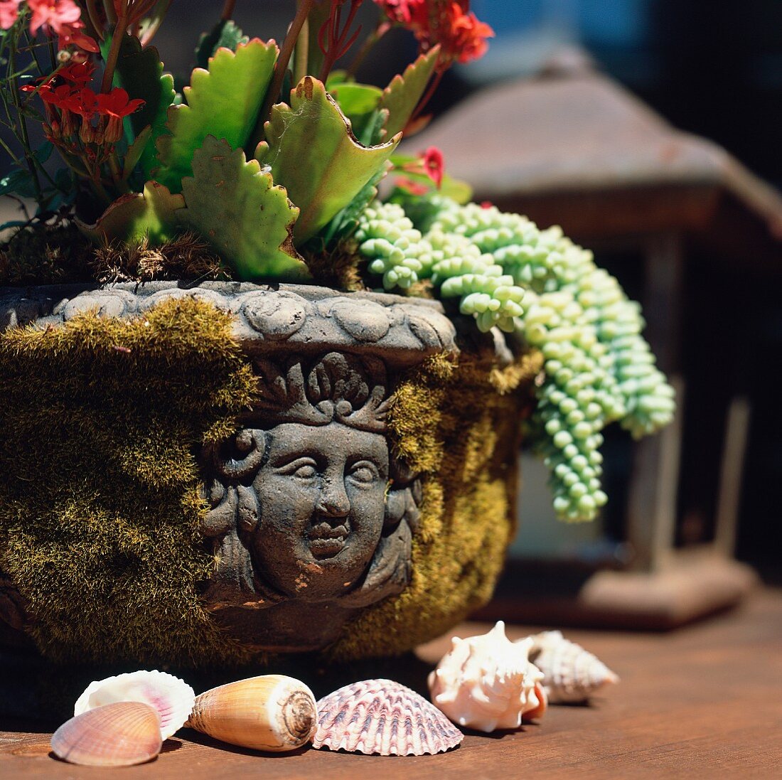 Antikes Pflanzengefäss mit Blumen und Muschelgehäuse auf Holztisch