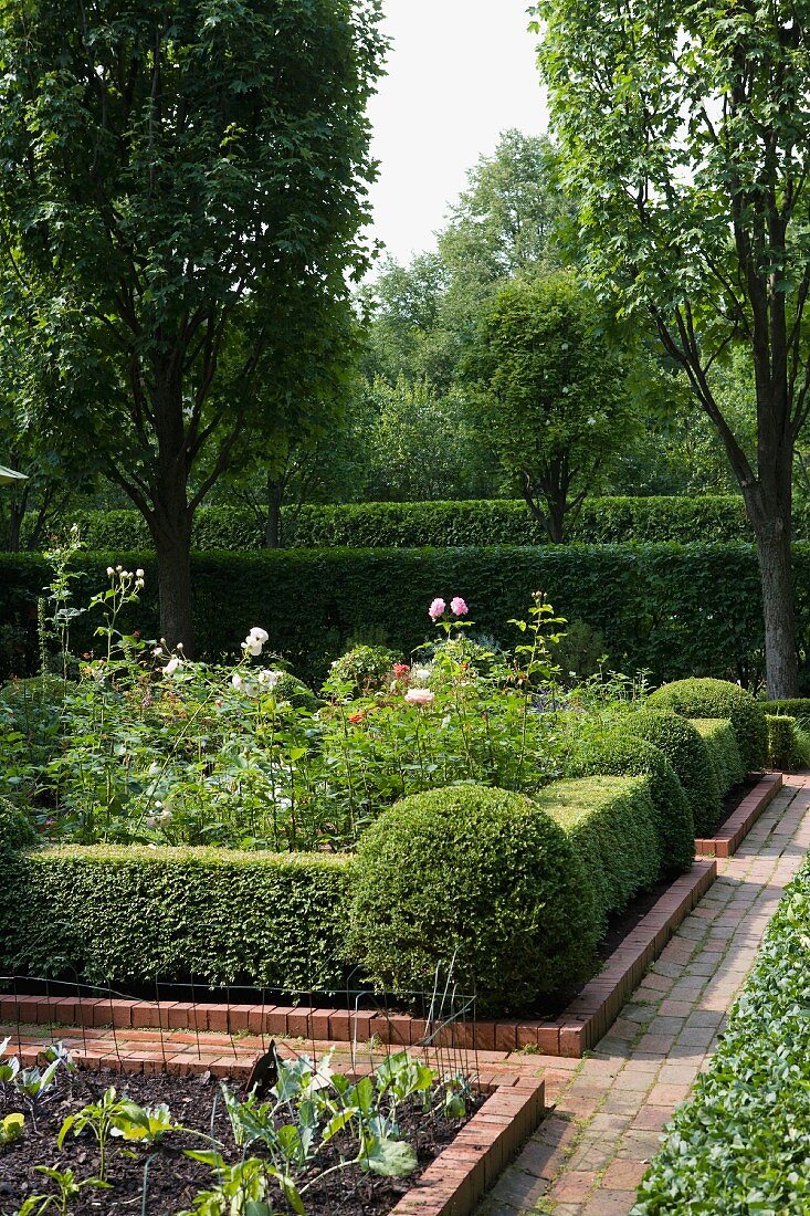 Flower garden in geometric beds edged in manicured hedges