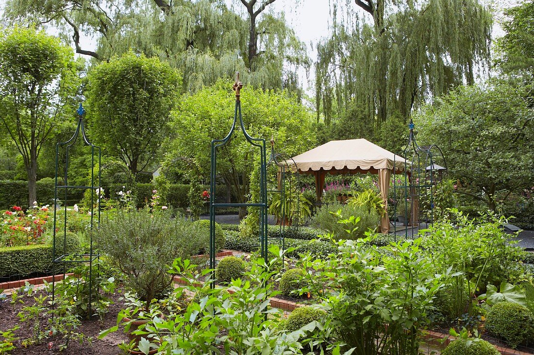 Summery garden with pavilion and large willows in background