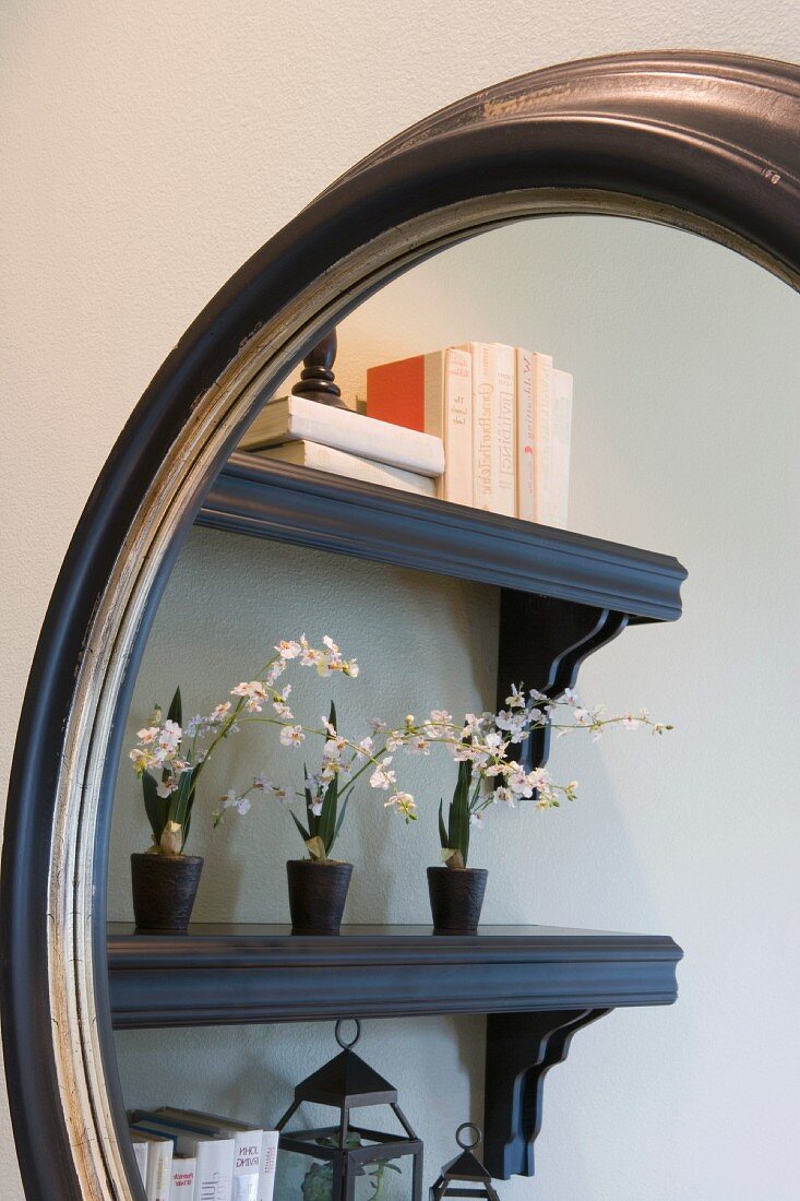 Reflection of Bookshelf in Mirror